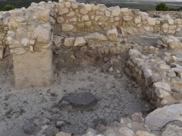 Yacimiento de la Almoloya 2023